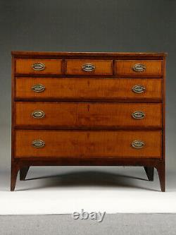 Exceptional & Beautiful Federal Cherry Tiger Maple & Mahogany Chest Of Drawers