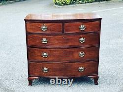 Georgian Bow Fronted Mahogany Chest Of Drawers. Brass Handles