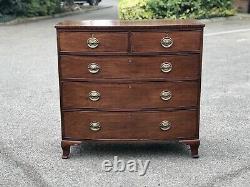 Georgian Bow Fronted Mahogany Chest Of Drawers. Brass Handles